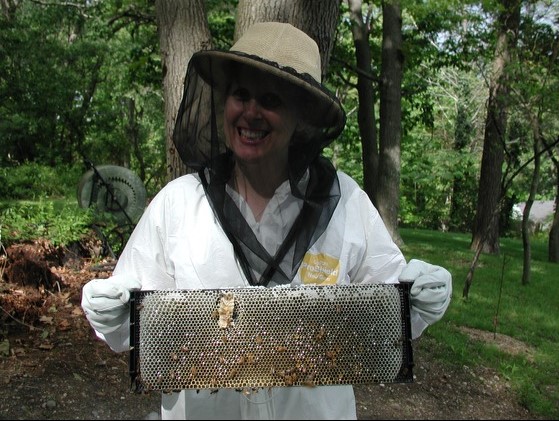 Bee Charmer, Wildlife Rehabber and an Unsung Hero: A Life Dedicated to Preserving Long Island’s&nbsp;Ecosystem